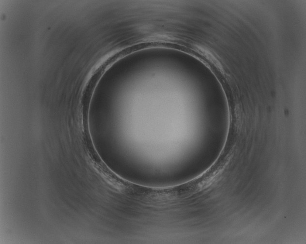 X0000071760931200606301127