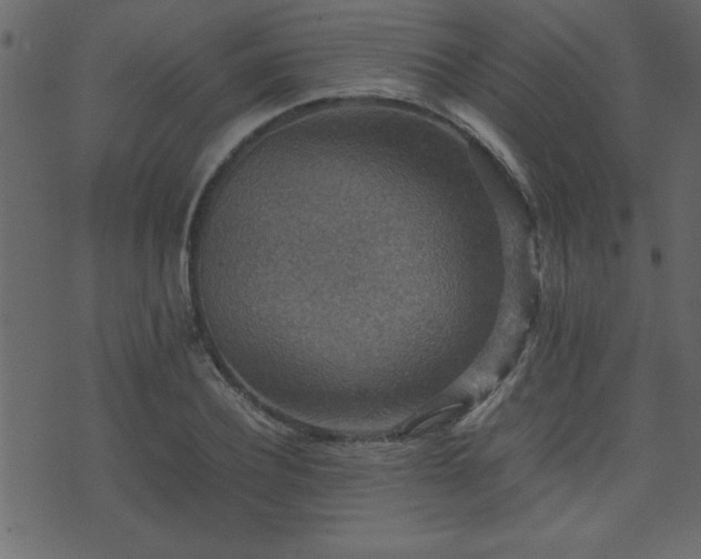 X0000071760932200606301127