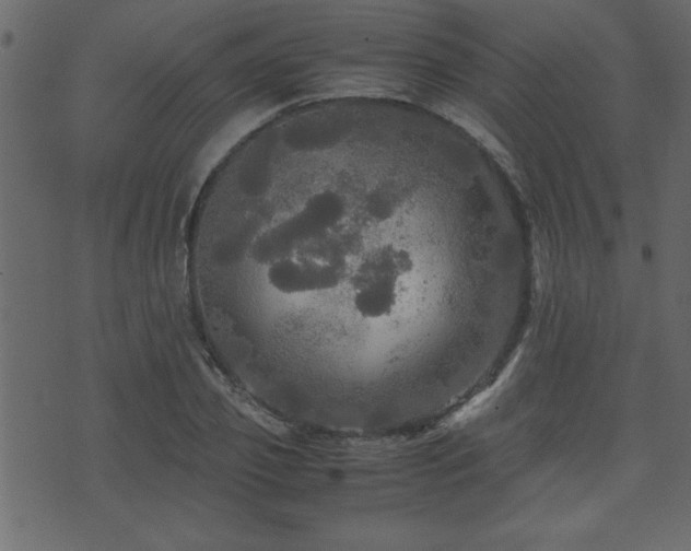 X0000071760933200606301127