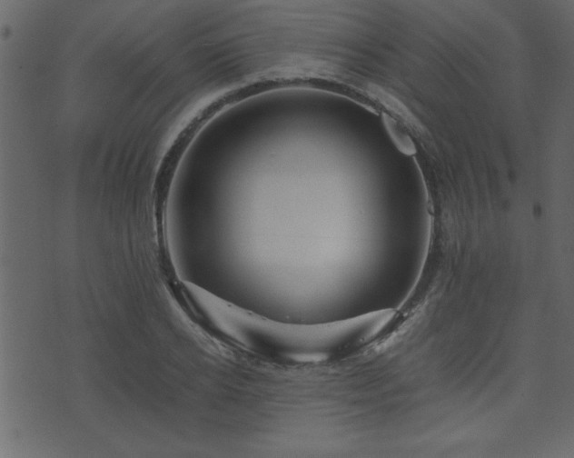 X0000071760934200606301127