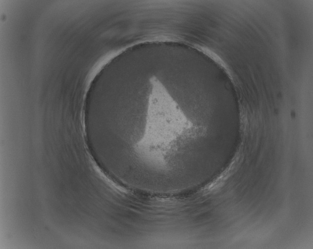 X0000071760935200606301127