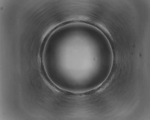 X0000071760936200606301127