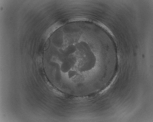 X0000071760937200606301127