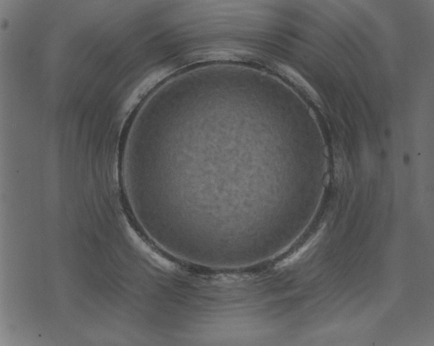 X0000071760938200606301127