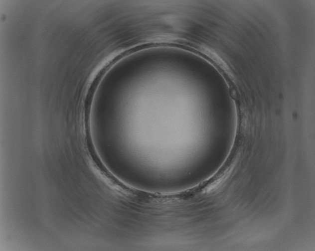 X0000071760939200606301127