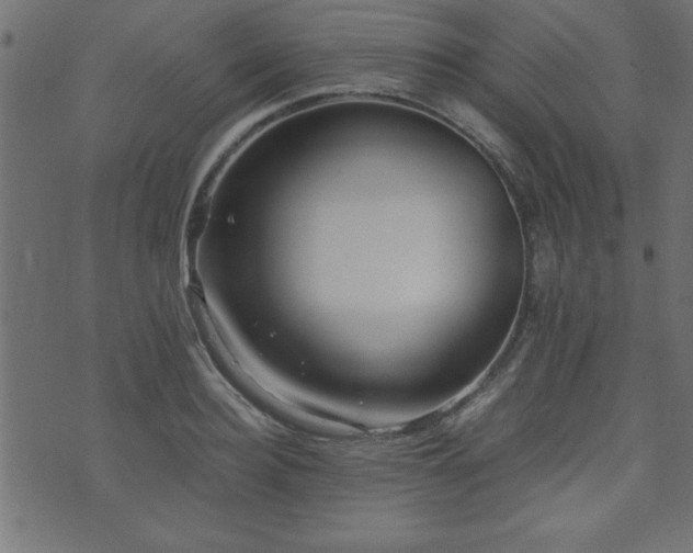 X0000071760940200606301127