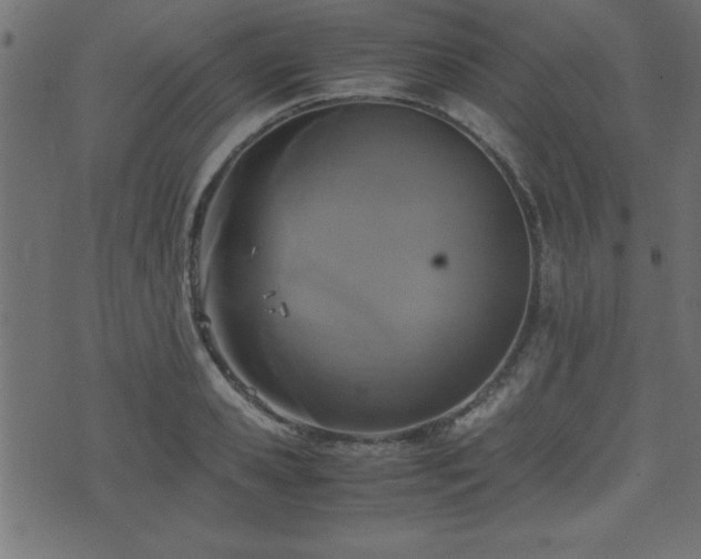 X0000071760941200606301127