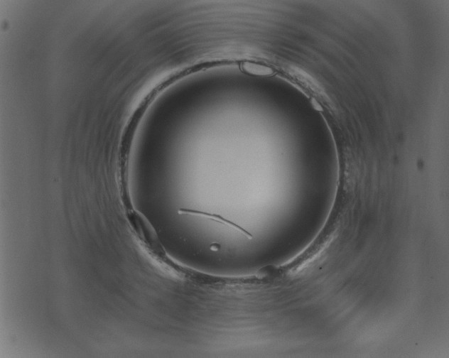 X0000071760942200606301127