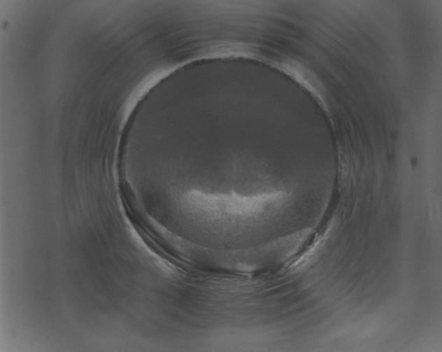 X0000071760943200606301127