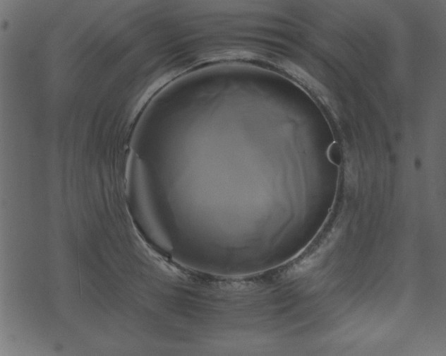 X0000071760945200606301127