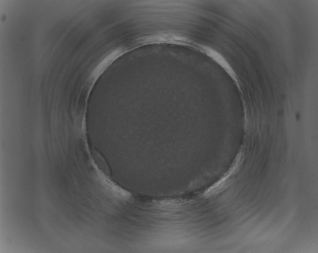 X0000071760946200606301127