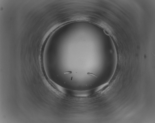 X0000071760947200606301127