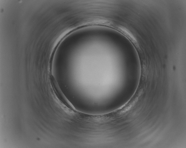 X0000071760948200606301127