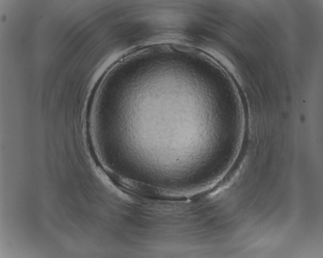 X0000071760949200606301127