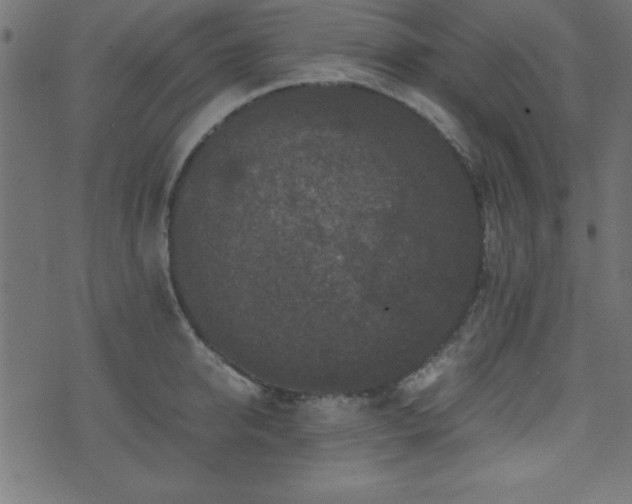 X0000071760950200606301127