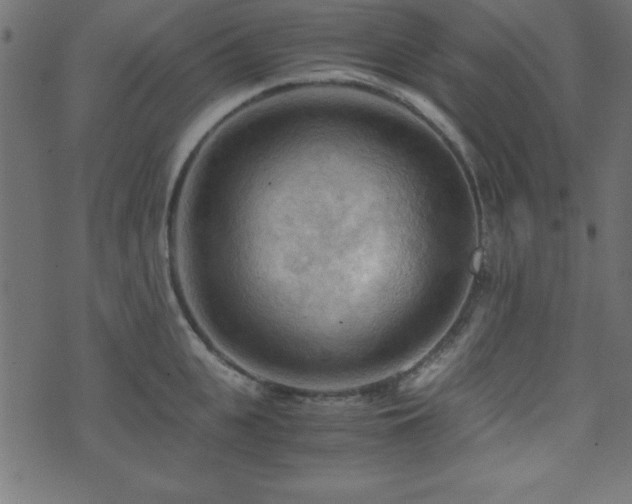 X0000071760951200606301127