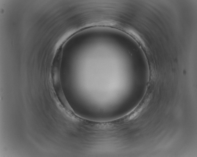 X0000071760952200606301127