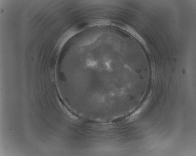 X0000071760953200606301127