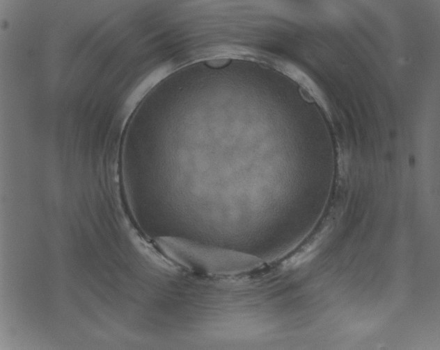 X0000071760954200606301127