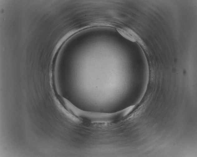 X0000071760955200606301127