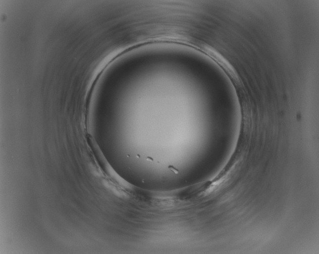 X0000071760956200606301127