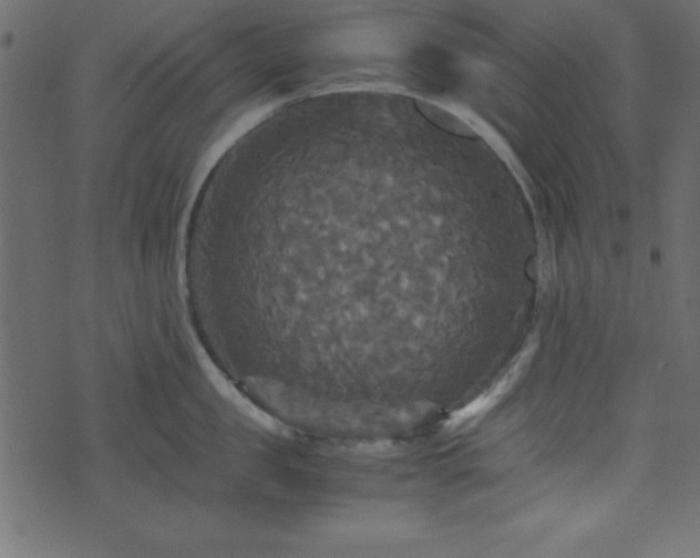 X0000071760957200606301127