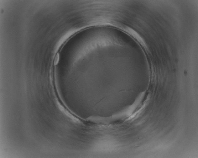 X0000071760958200606301127