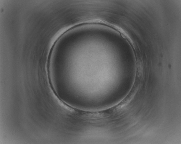 X0000071760959200606301127