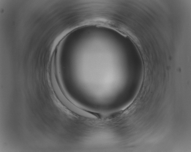 X0000071760960200606301127