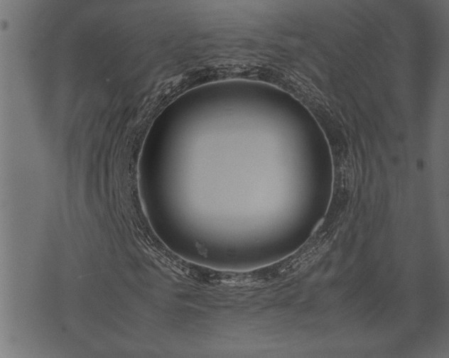 X0000071760961200606301126