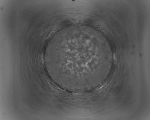 X0000071760963200606301126