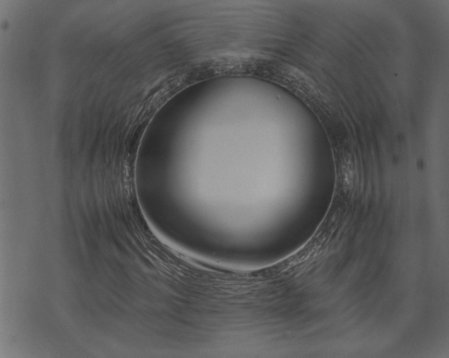 X0000071760964200606301126