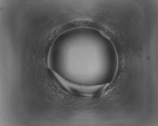 X0000071760965200606301126