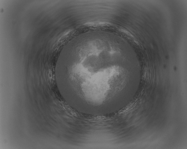 X0000071760966200606301126