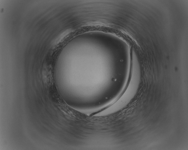 X0000071760968200606301126