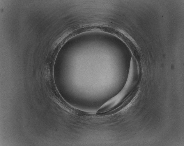 X0000071760969200606301126