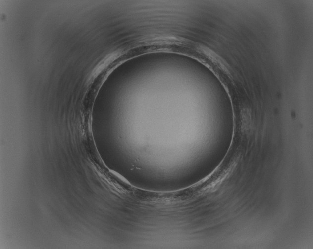 X0000071760970200606301126