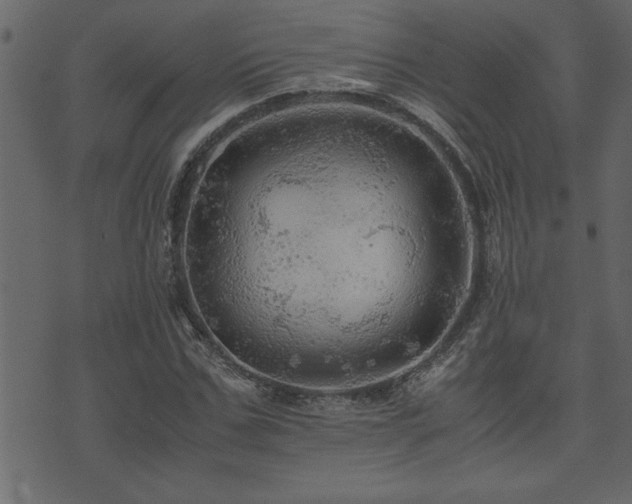 X0000071760971200606301126