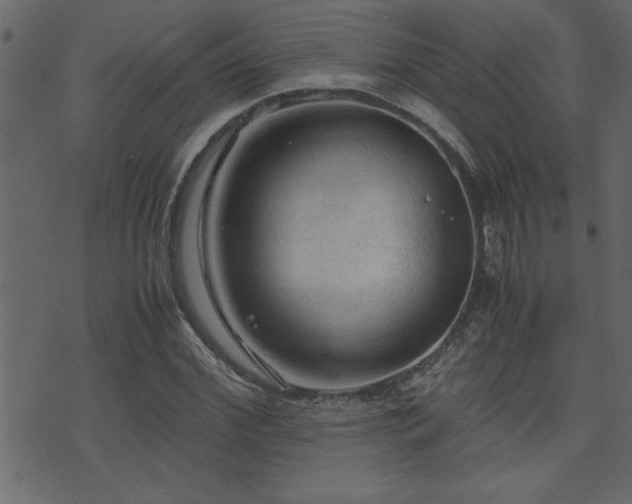 X0000071760972200606301126