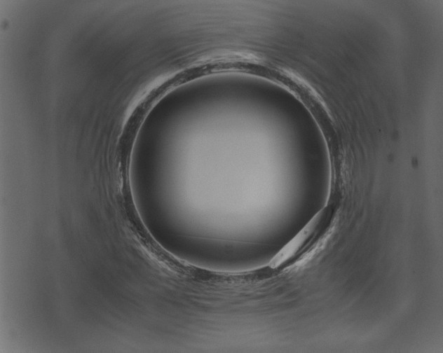 X0000071760973200606301126