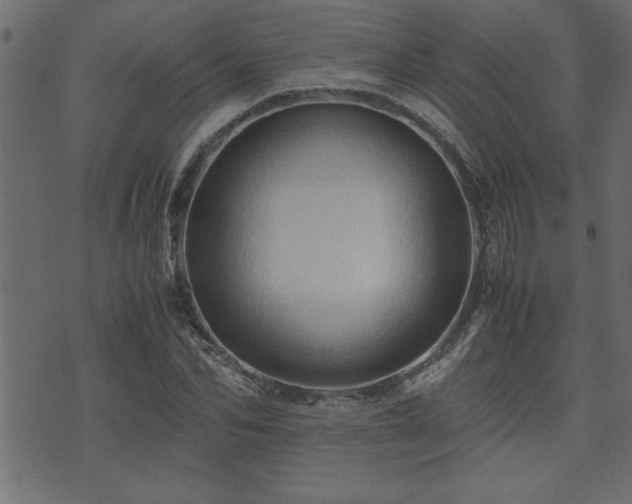 X0000071760974200606301126