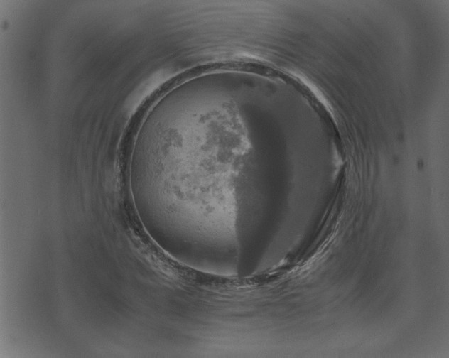 X0000071760975200606301126