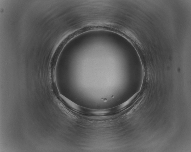 X0000071760976200606301126