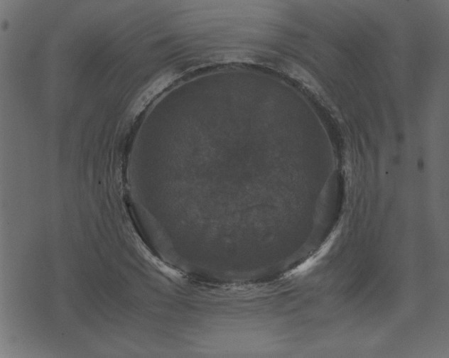 X0000071760977200606301126