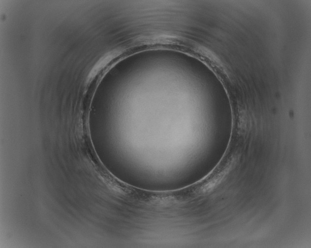 X0000071760978200606301126