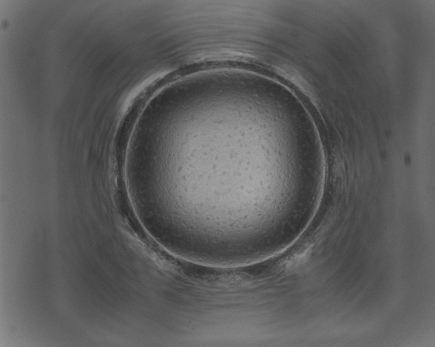 X0000071760979200606301126