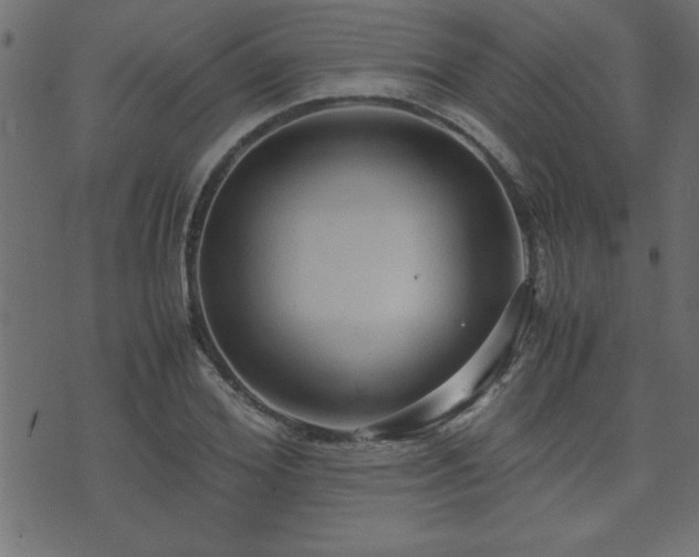 X0000071760980200606301126