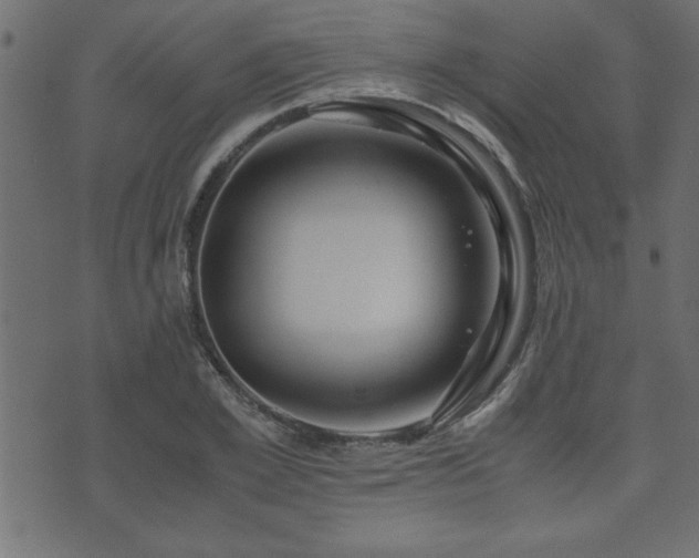 X0000071760981200606301126