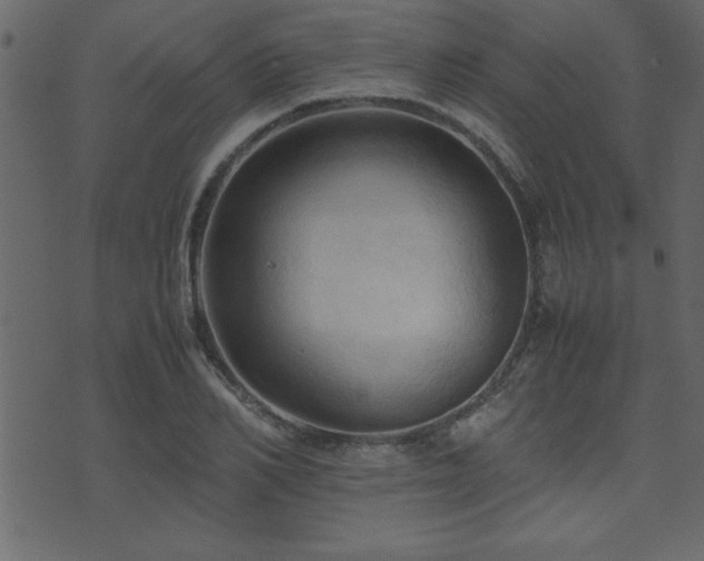 X0000071760982200606301126