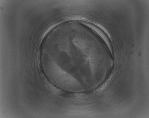 X0000071760983200606301126